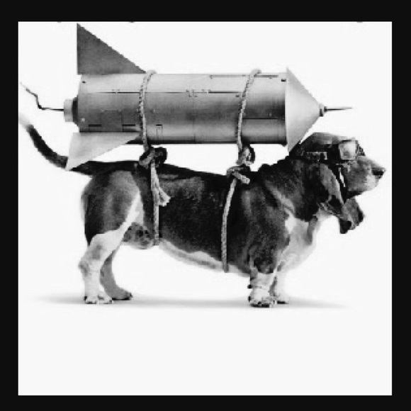 the_rocket_dog